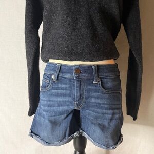 American Eagle Outfitters Denim Blue Women's Shorts